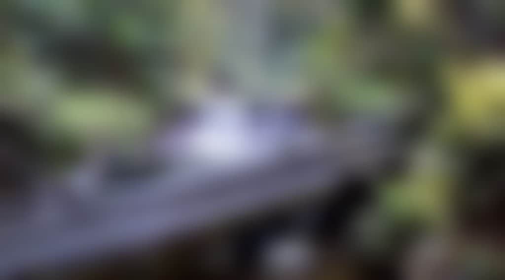 Original__9149743_Bo62_Img_0109_2545_C88Ssjg