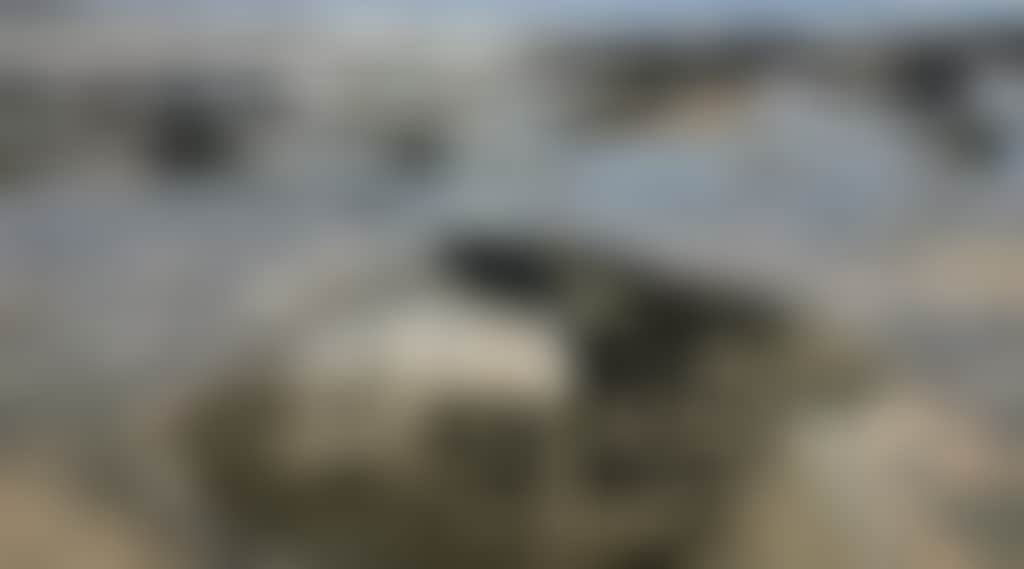 8B416659Ab40724Ca9B1F924E2D16D69