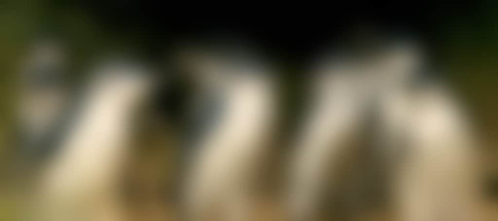 089118B5Df68565E7B1F13D2C97A07C9