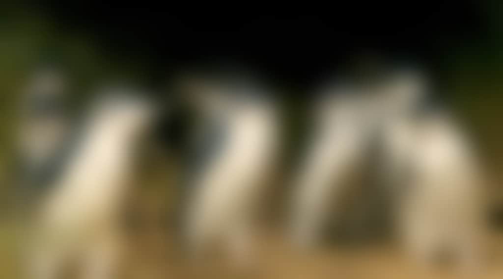 089118B5Df68565E7B1F13D2C97A07C9