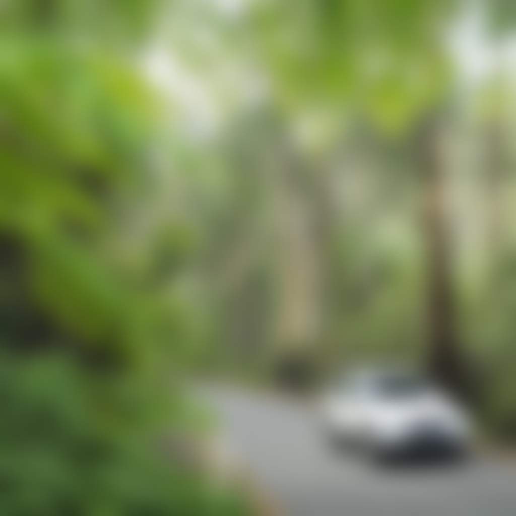 Car on Walhalla Road