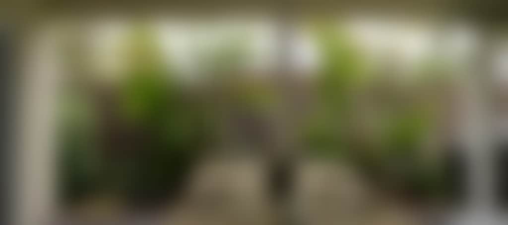 8289A7B45025Cd4B95Ba471Ecdcaa334
