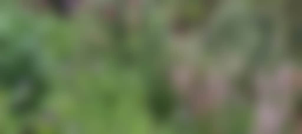 E0Bf1112A9Ca0A5E65C71Fbabef7A5C3