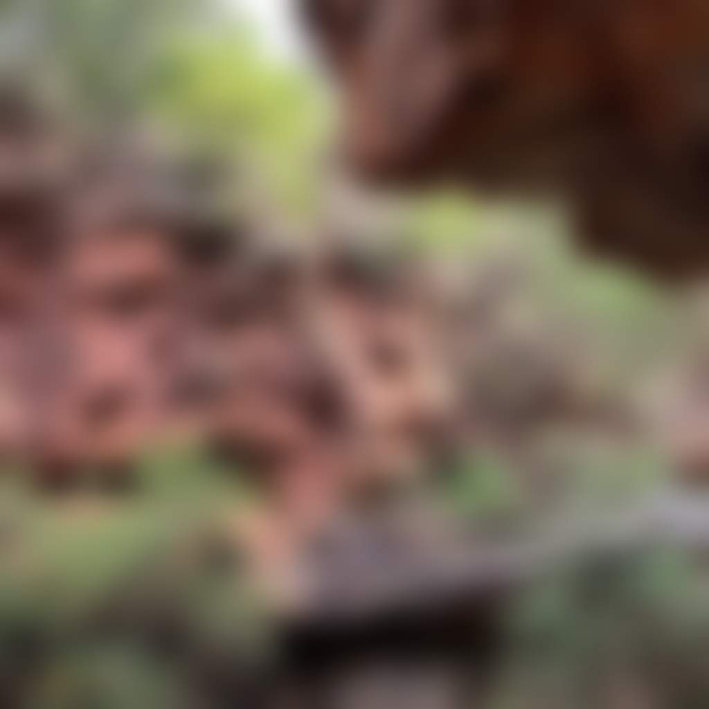 Rock Formations on Cliffs in Deadcock Den in Mitchell River NP