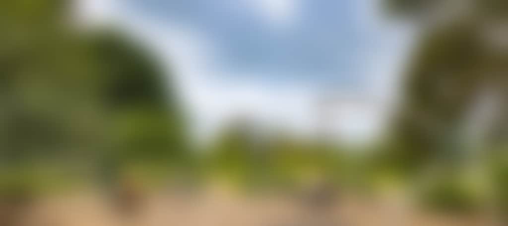 3D1585698Ab018B2Ef17Bda522Aadf0F
