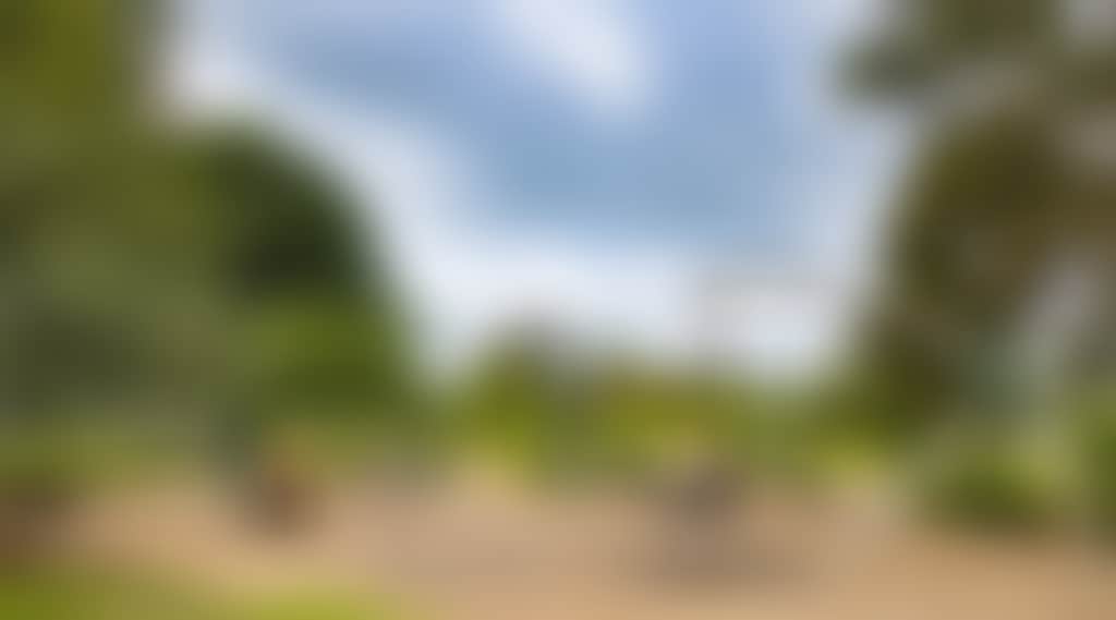3D1585698Ab018B2Ef17Bda522Aadf0F