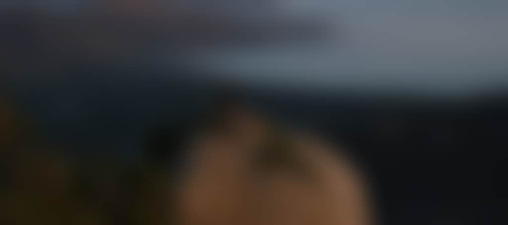 35Afc909013C3D442Bc12Dd964F02D02