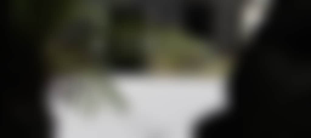 Original__9380648_Ck88_Wm9_O6Zy2M4