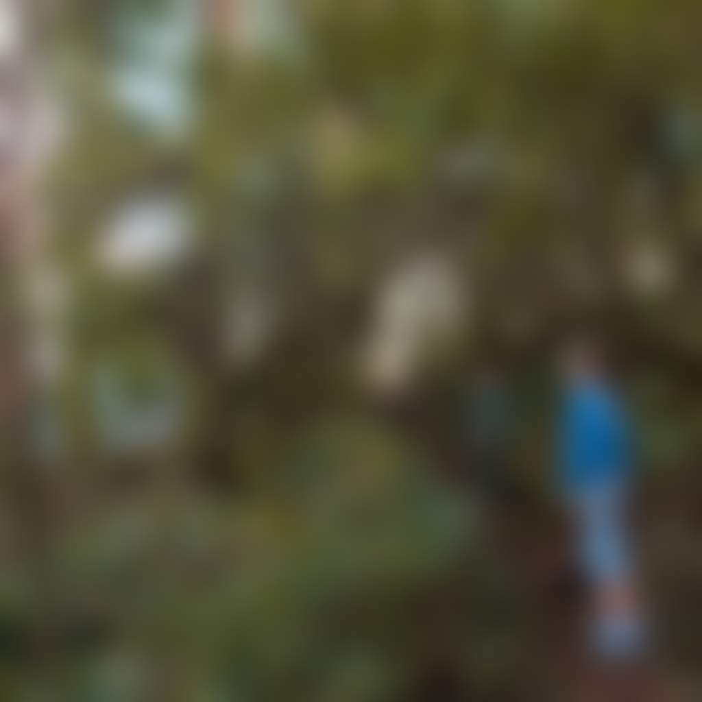 Glen Nayook Reserve Nayook children climbing trail hero