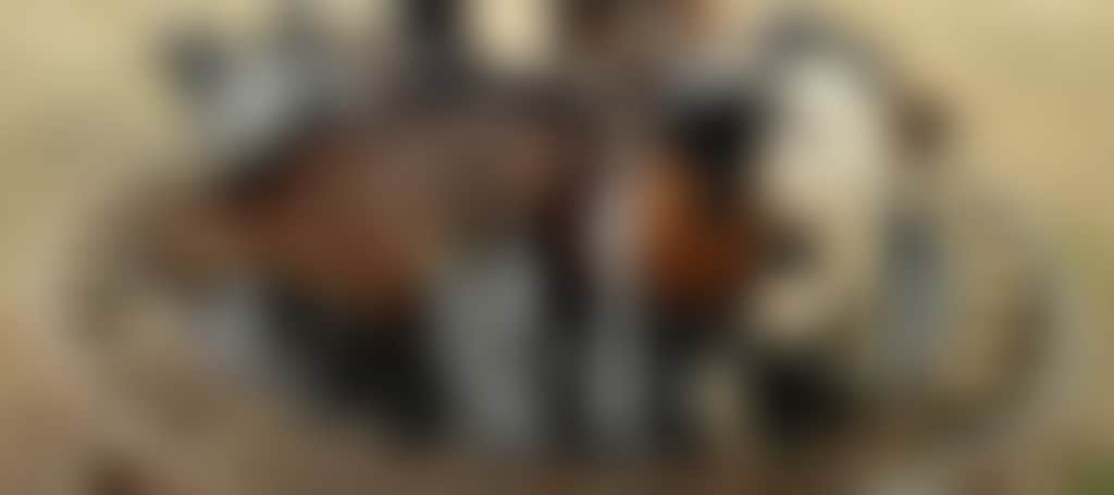 B69C24156Ed74Ecbbeb7330Caa312651