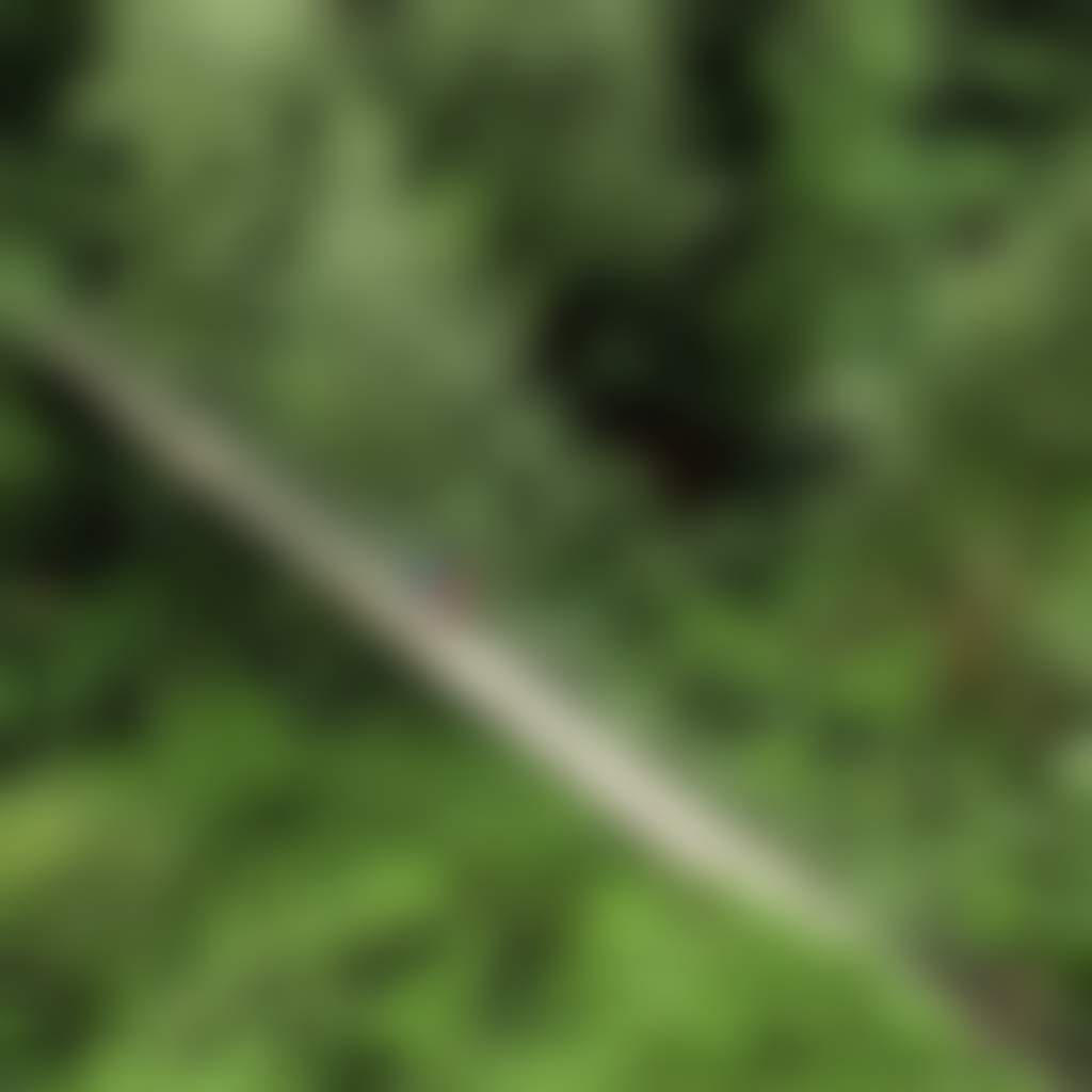Aerial view of Swing Bridge in Tarra Bulga NP