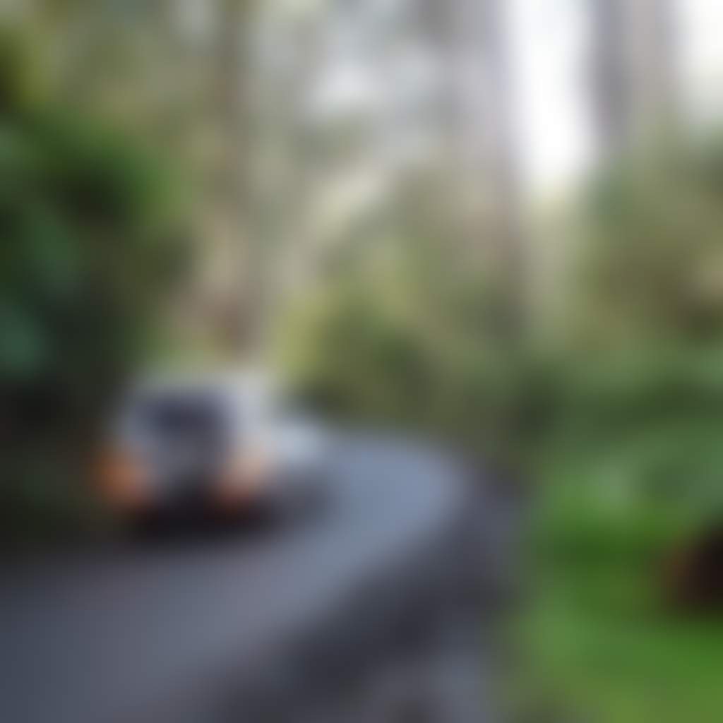 Car on road in the Tarra Valley Rainforest