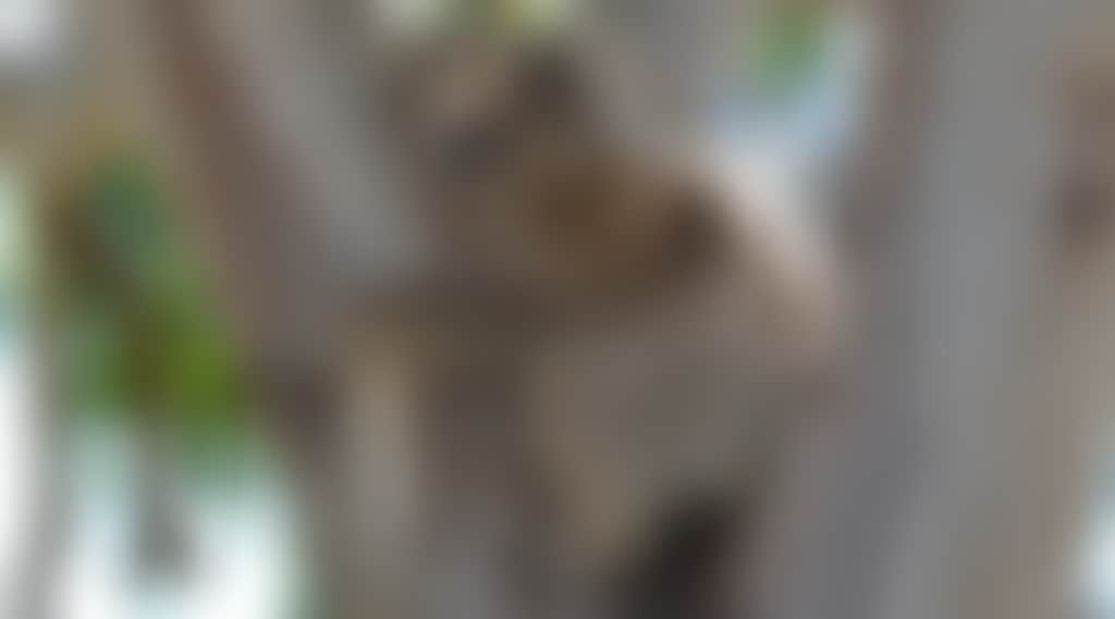 94Fa5Ff5D8272F27C110D4D5Dce4De24