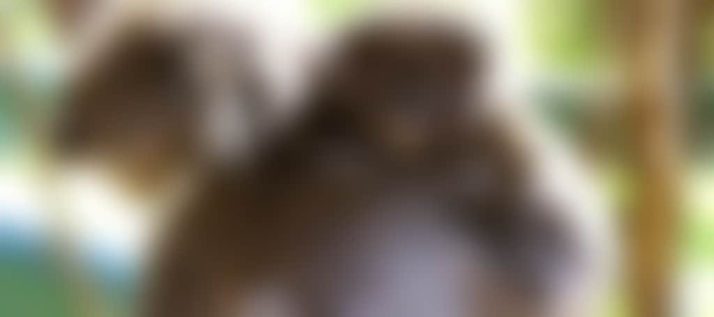 930296Ee68C73521Fdae6Ebae3802B12