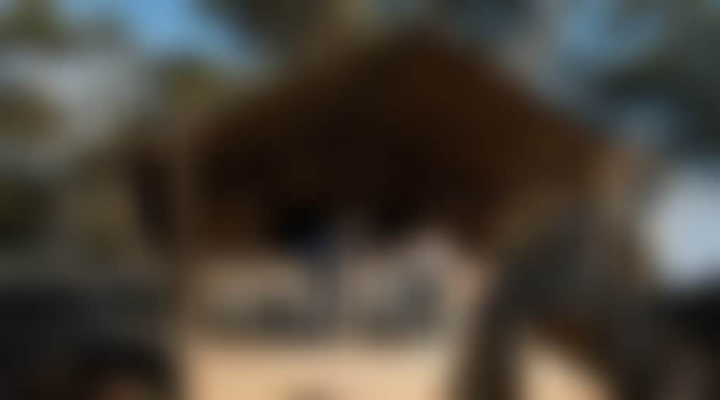 3643A2A312527B0C04E14B5A89Bd198B