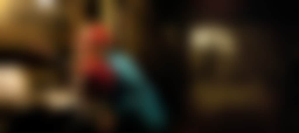 Original__9123043_Park_9Pv_Scm_N9Veqjk