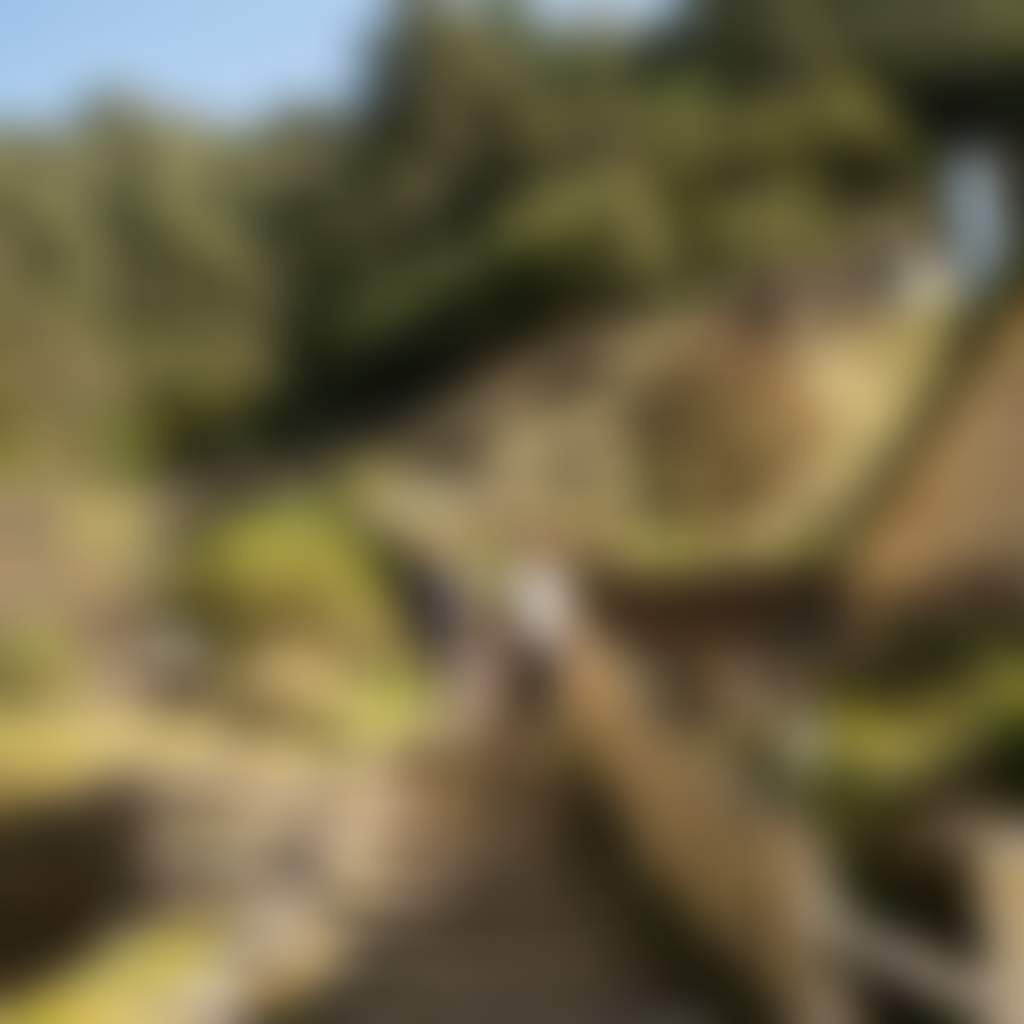 Walhalla Tramline Walk Walhalla family walking down stairs with bush behind them