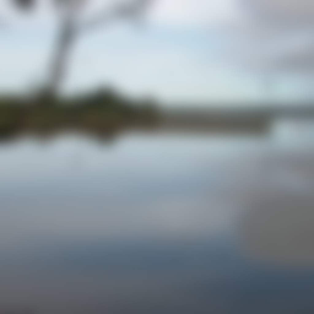 Lake Narracan still lake in Moe with gum tree silhouette over water