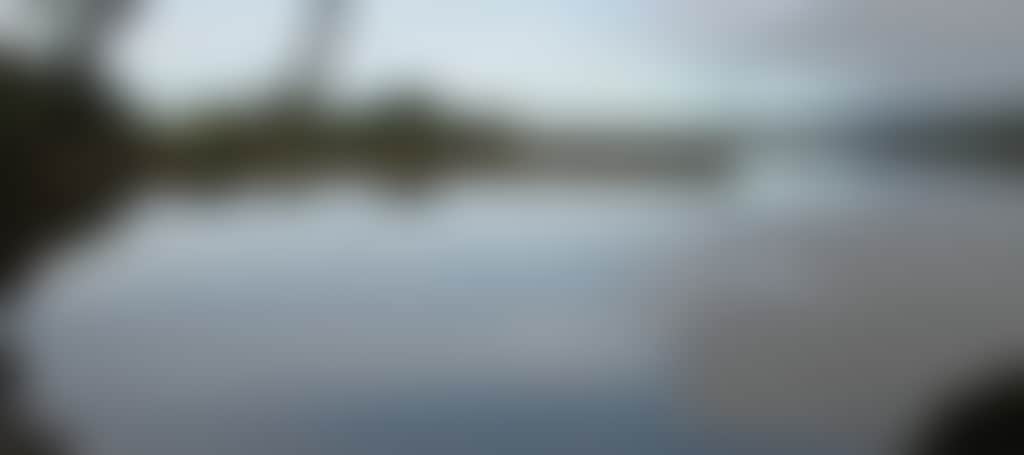 Lake Narracan still lake in Moe with gum tree silhouette over water