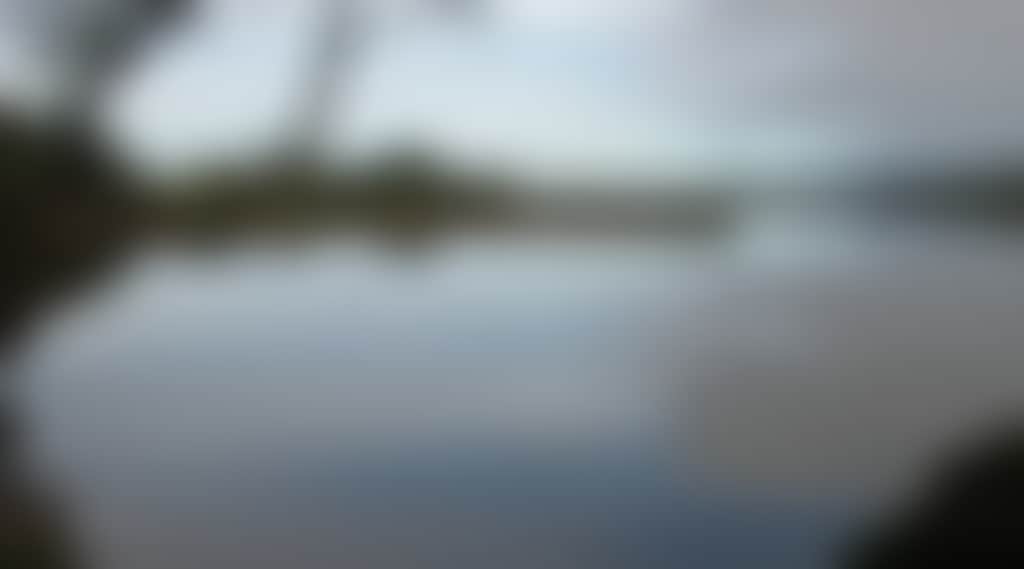 Lake Narracan still lake in Moe with gum tree silhouette over water