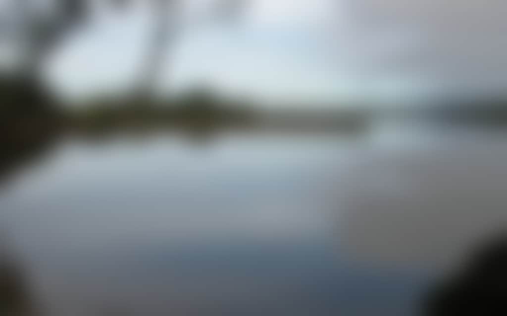Lake Narracan still lake in Moe with gum tree silhouette over water