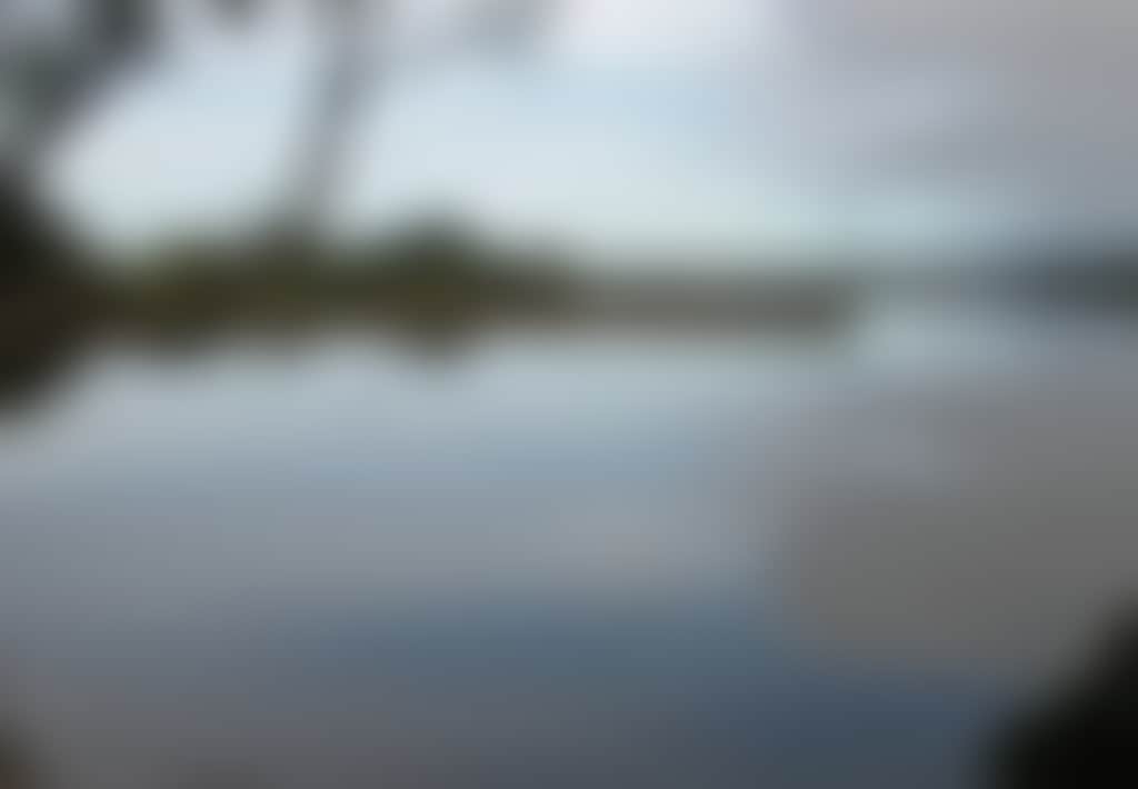 Lake Narracan still lake in Moe with gum tree silhouette over water