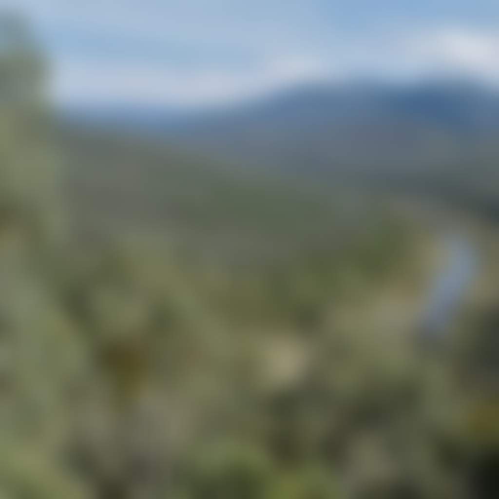 View of Snowy River from the road to Mc Killops Bridge near Buchan
