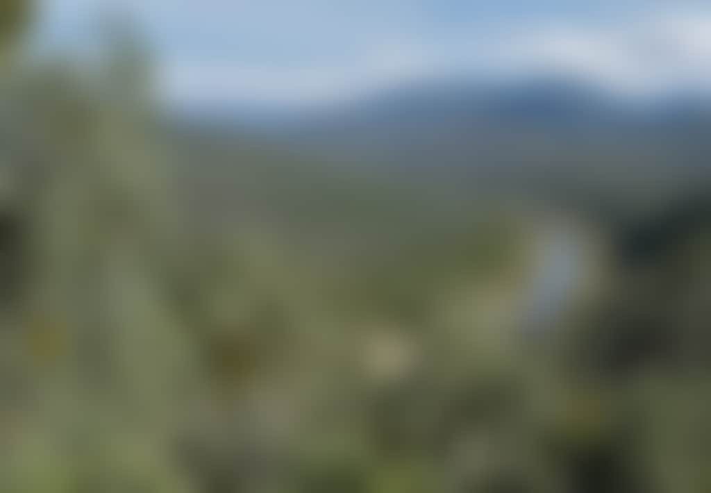 View of Snowy River from the road to Mc Killops Bridge near Buchan