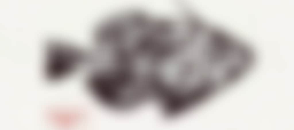 5C73554801700Efb19B087Cec7E02008