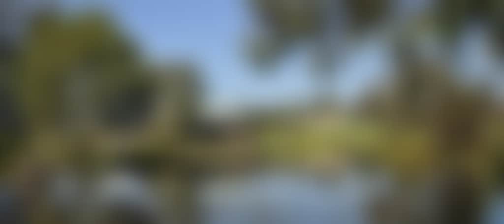 E7C117867544F1E207Bc19Fb32Cd0945