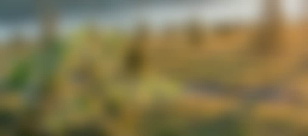 Ca53E90A87C89A7A2D0E9Ee4Cd2650Ee