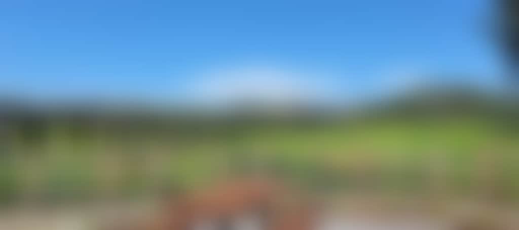 96Db2D2Fa4F2C0D0F873459184Ee4939
