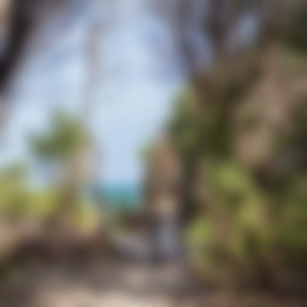 Mallacoota girl walking through shrubs to access beach