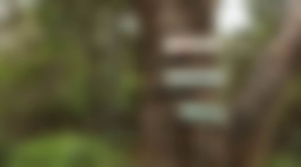 Ec187C2E20E806D9621E3Fd2D031Eb03