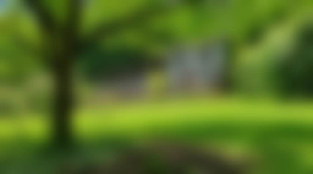 69524675C9670Ad9Ea8C20186046D3Ec