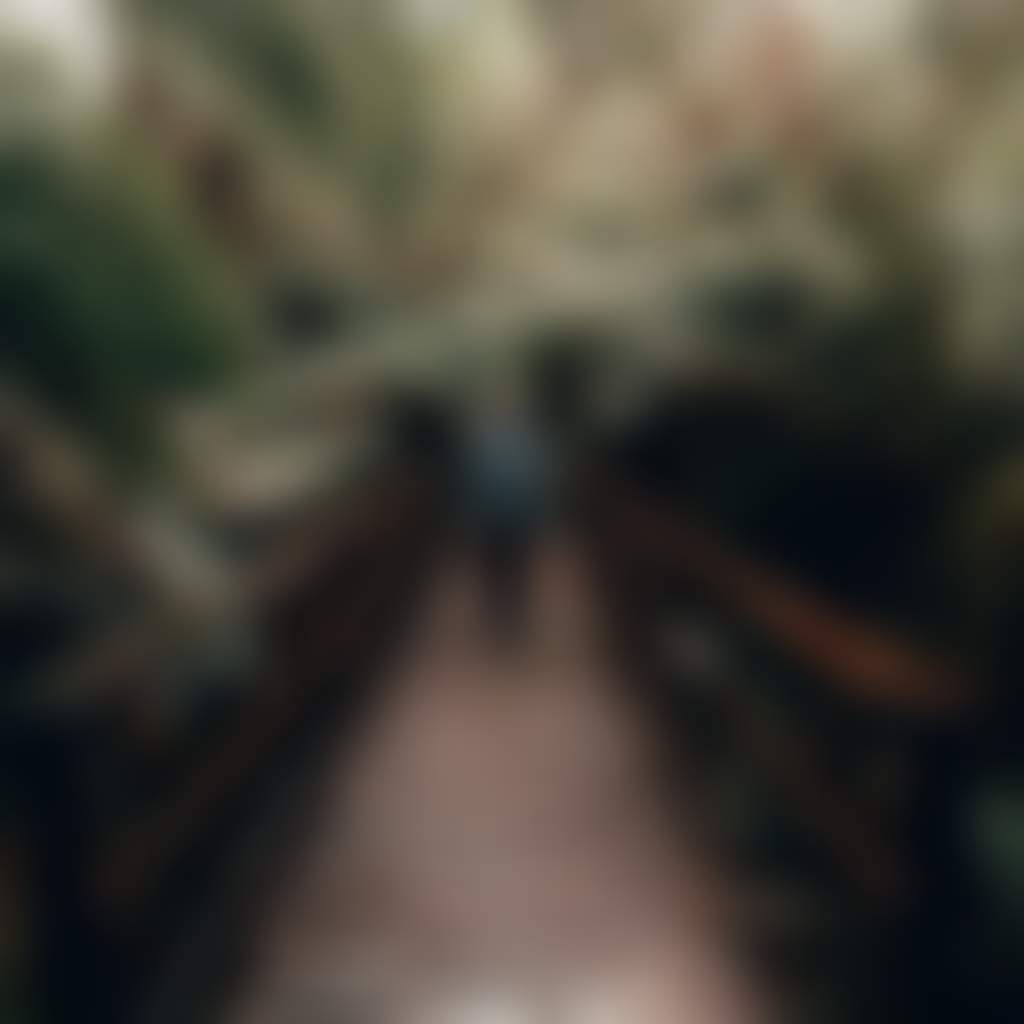 Man hiking on bridge in Mt Worth State Park