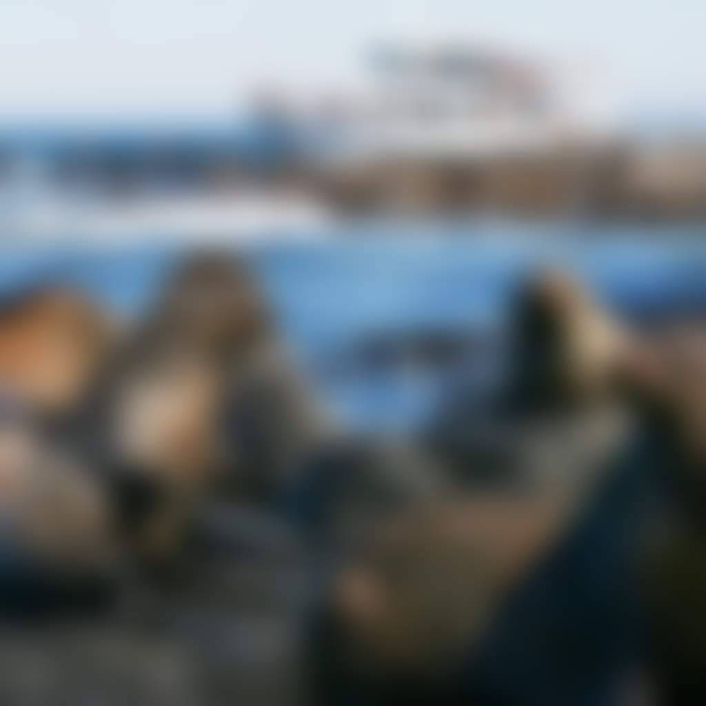 Ff2857Ca7E783601F11Dd596874A68Fb