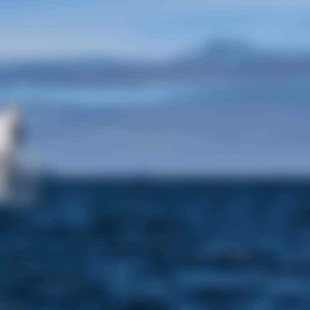 Whale watching at Refuge Cove Wilsons Promontory Wildlife Coast Cruises