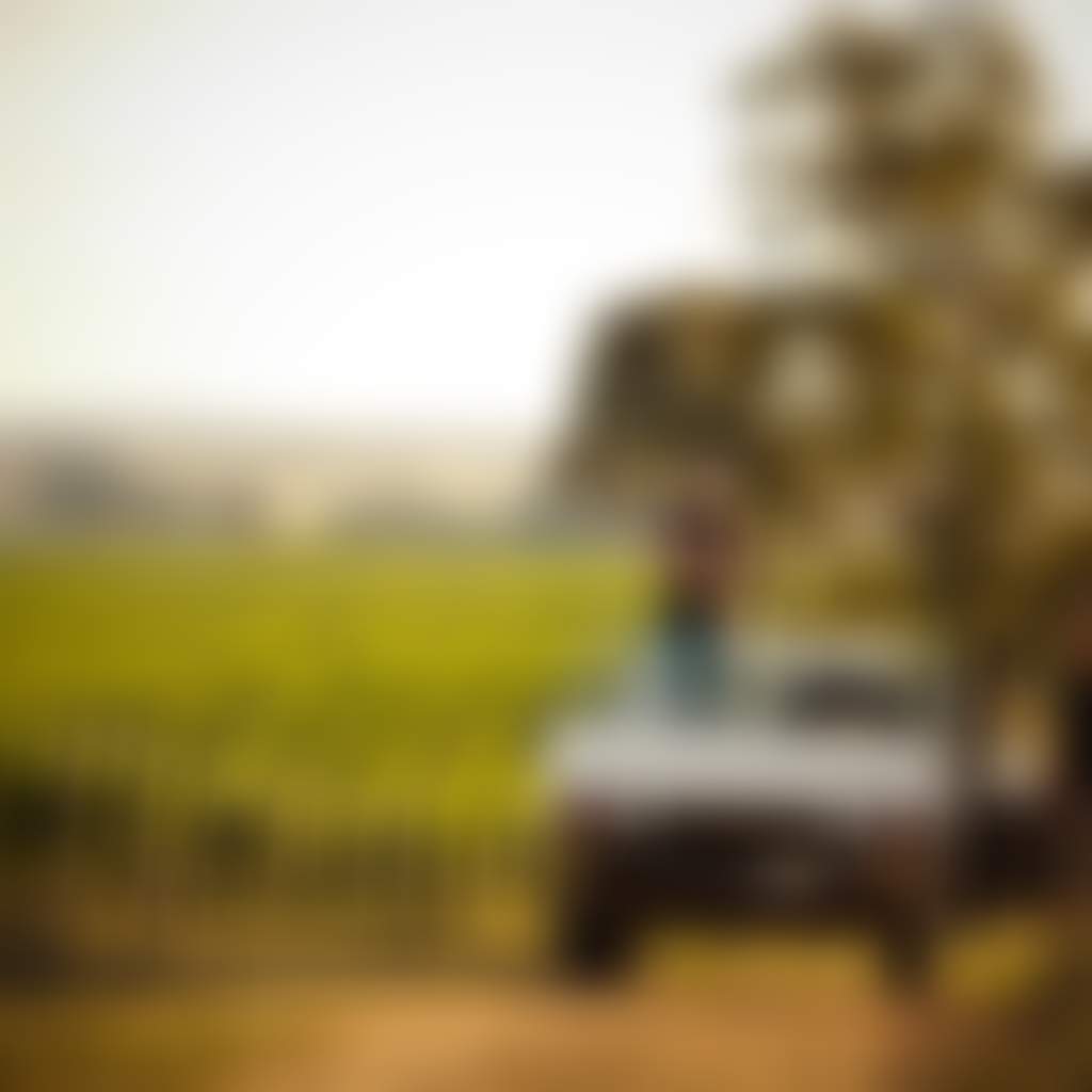 Lightfoot and Sons 2009 truck in vineyard