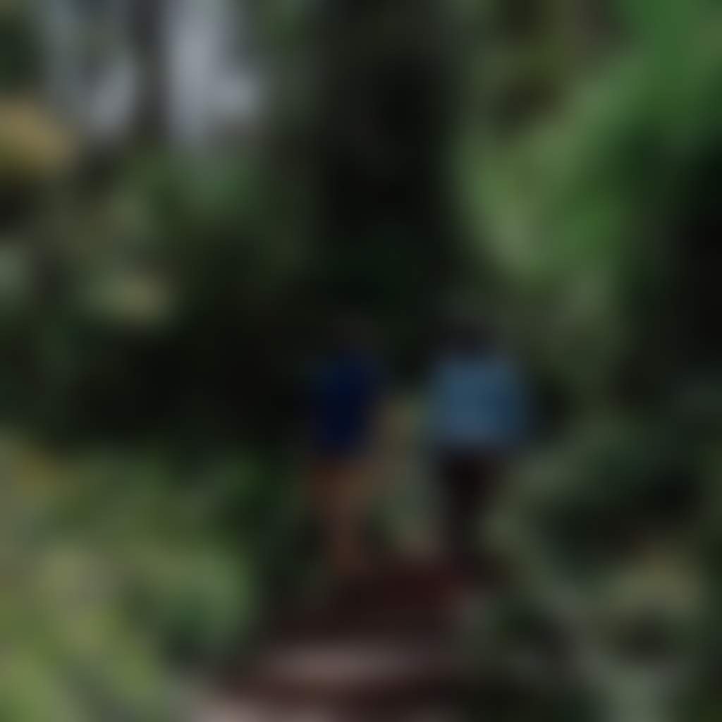 Fairy Dell Walking Track Bruthen State Forest couple walking up steps surrounded by greenery
