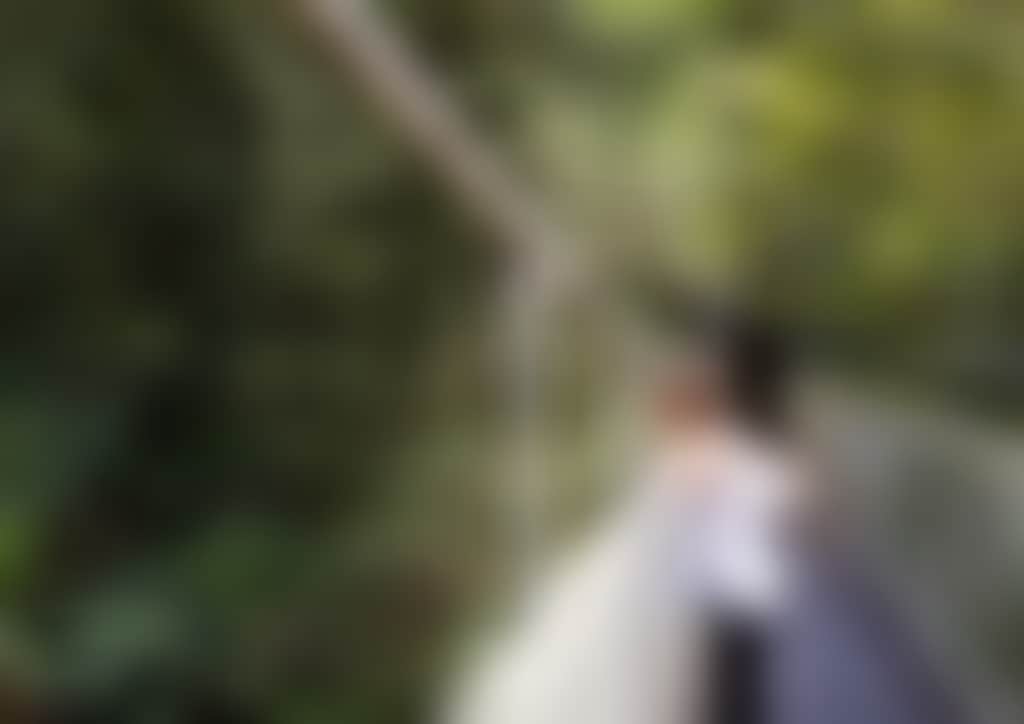 Person on Swing Bridge at Tarra Bulga National Park