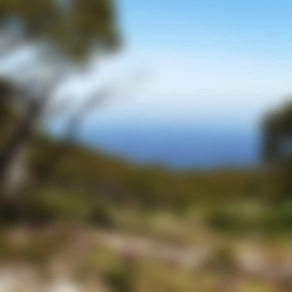 View from Mt Baw Baw in summer