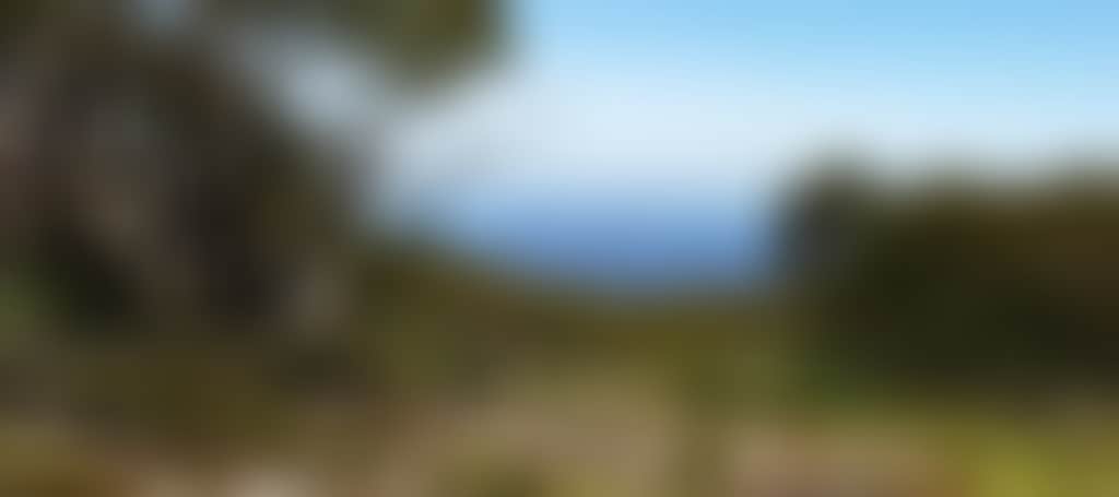 View from Mt Baw Baw in summer