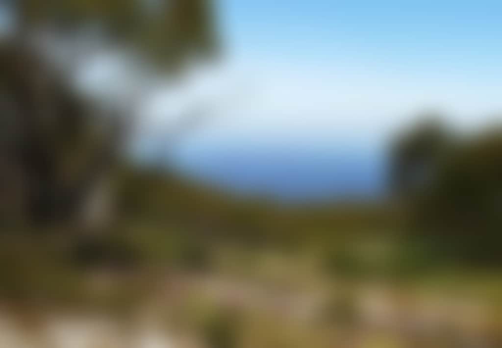 View from Mt Baw Baw in summer