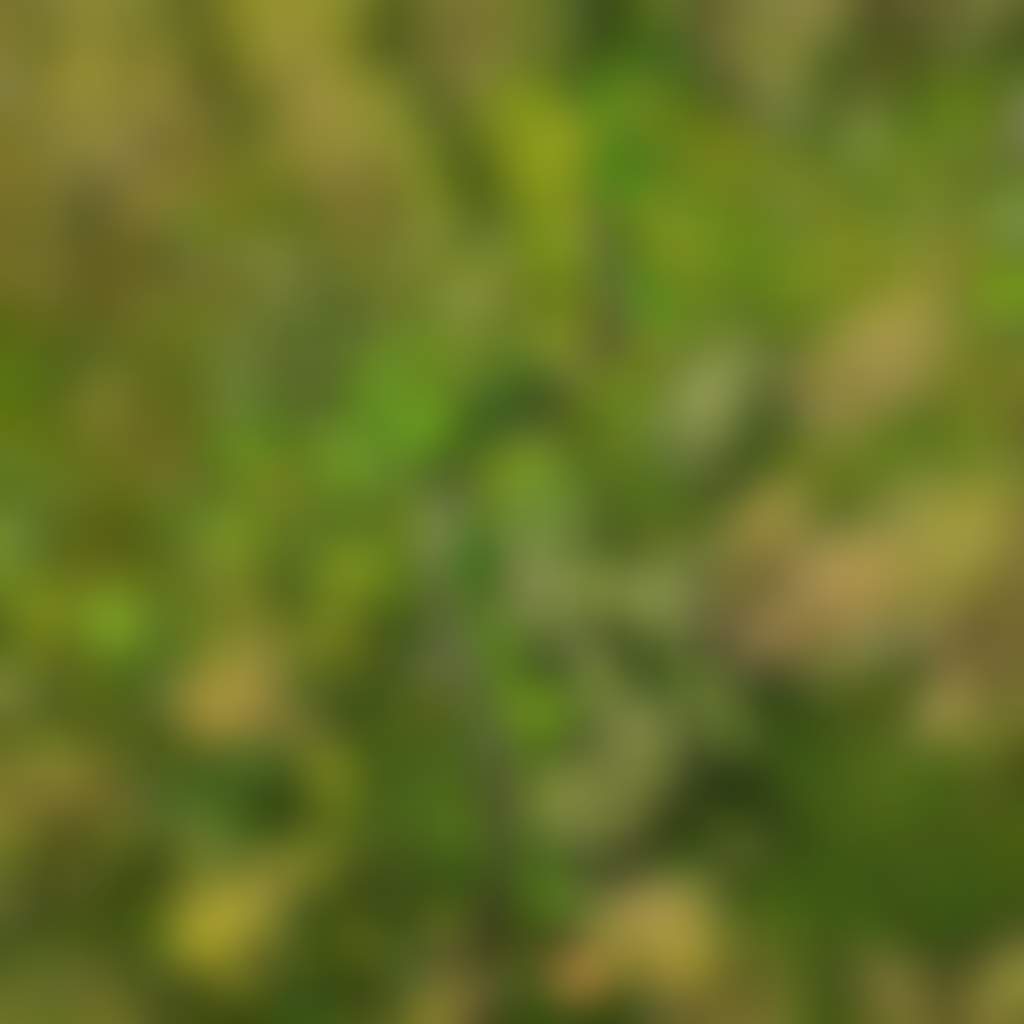 Ariel view of a road winding through forest in Gippsland