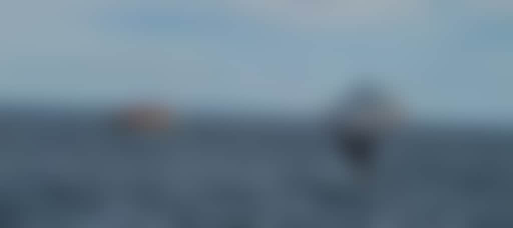 C0Adaa69F0D0A94022B0B4E3C2B93Ece