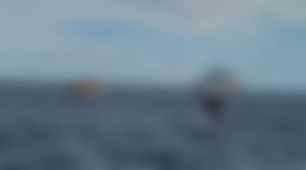 C0Adaa69F0D0A94022B0B4E3C2B93Ece