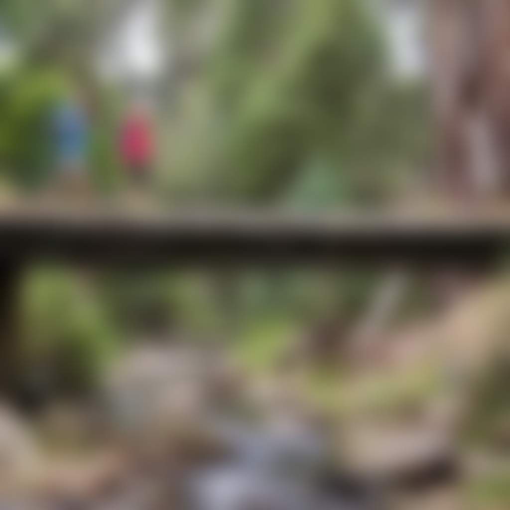 Grand Strzelecki Track couple walking on bridge across river