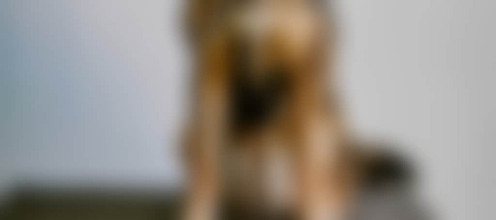 D727739003A8F01Ede1E8Fac11C4B7Ea