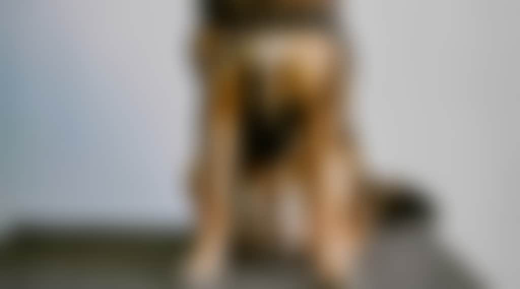 D727739003A8F01Ede1E8Fac11C4B7Ea